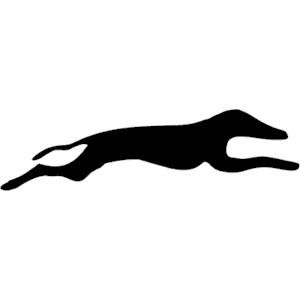 greyhound1.jpg