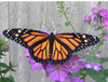 Screenshot_20190907-222043.png