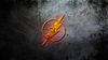 flash.jpg