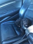 Profile (hateit4ya)