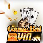 logo-vinwin.jpg