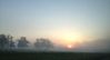 Morning Mist.jpg