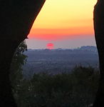 sunset.png
