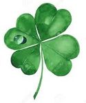 clover.jpg