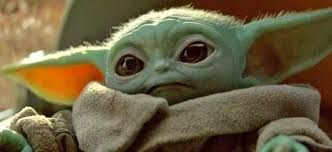 yoda.jpg