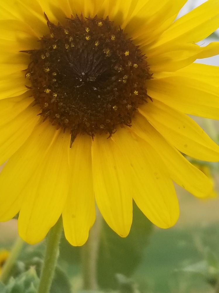Resized_20190808_155343.jpeg