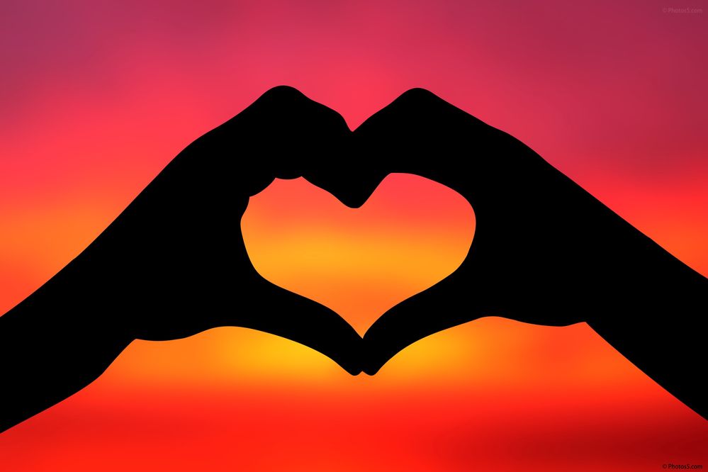B80A34A9-6A8B-4CDB-BD52-5C60202F5C0C.jpeg
