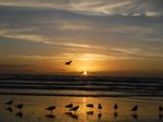 IMG_0624.JPG