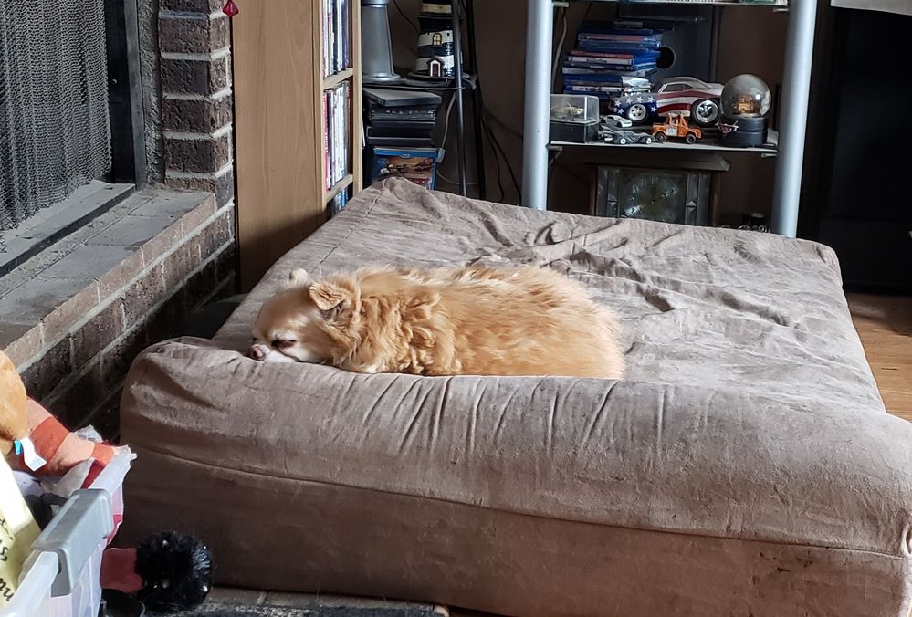 20191209_144023.jpg