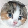 marley.png