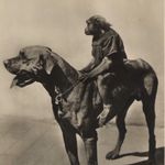 wy136619