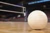 Volleyball Net and Ball.jpg