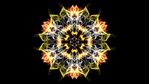 download (3).png