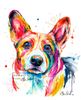 corgi multi color.jpg
