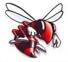 Hornet_pix.JPG