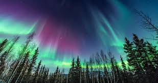Northern Lights.png