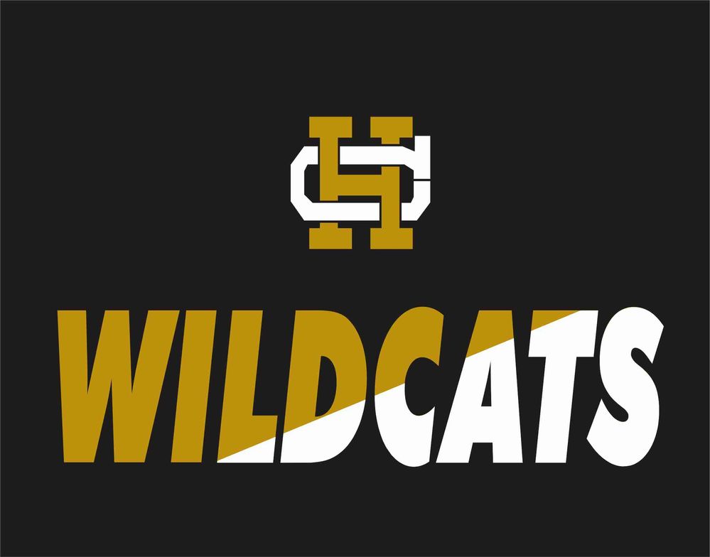 2017 HCHS Wildcats Logo (2).jpg