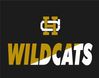 2017 HCHS Wildcats Logo (2).jpg