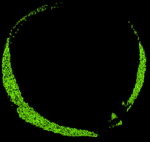 20200222_085504_logo.png