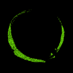 20200222_085504_logo_1.png