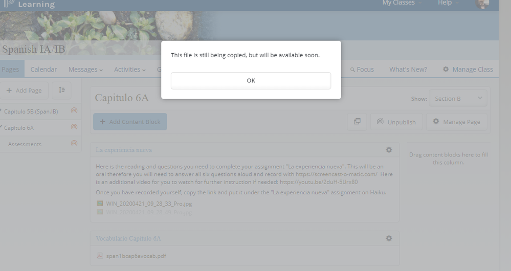 powerschoolhaikufilenotloading.png