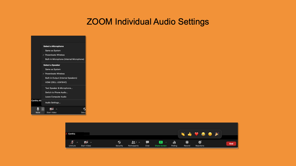 Zoom Audio Settings