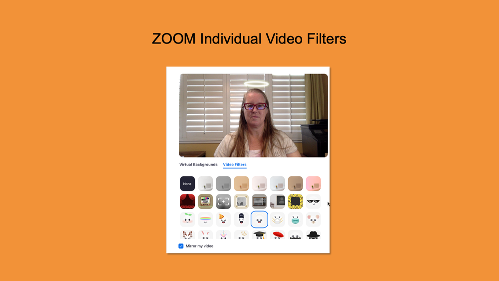 Zoom Video Filters