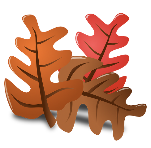 image (179).png