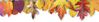 image (182).png