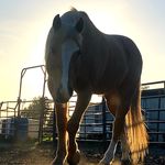 vmathias