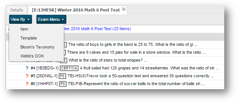 Exam-Viewing-Options.png