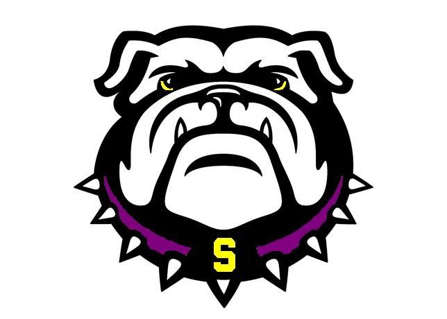 UGA ripoff.JPG