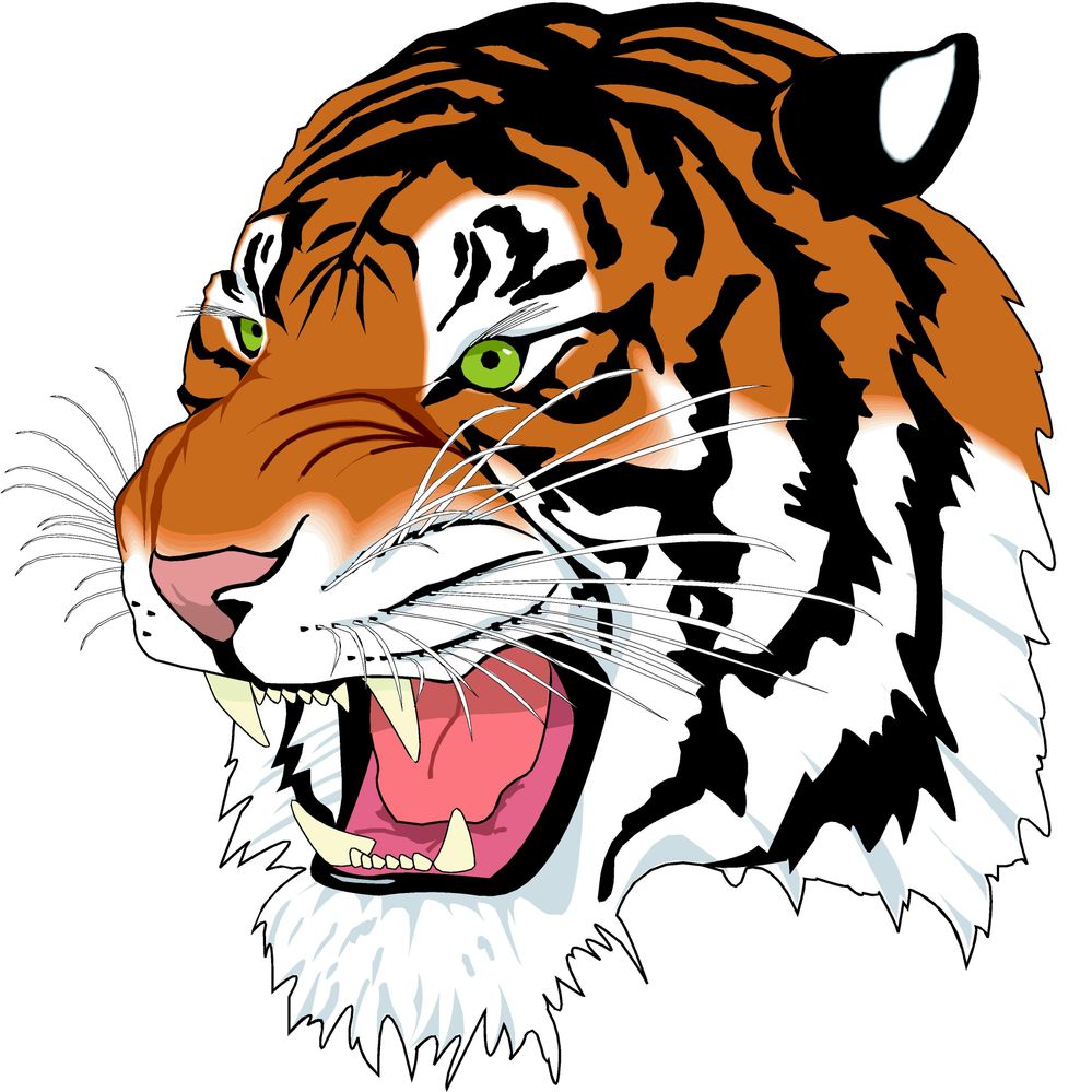 Tiger Logo.jpg