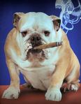 76d48454d93d5f1aa1ea093ce7869b54--electronic-cigarettes-vapor-cigarettes[1].jpg
