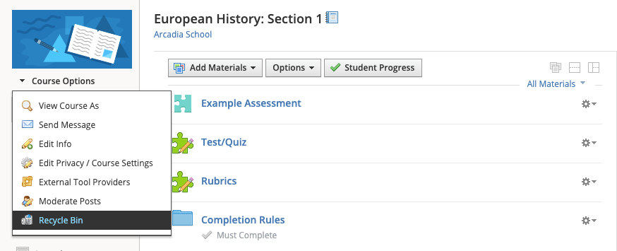 course options menu recycle bin.png