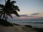 Hawaii 11.JPG