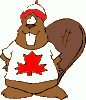 beaver.gif