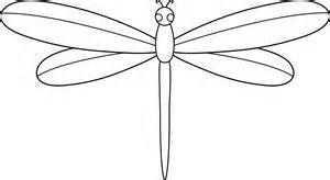 dragonfly (1).jpg
