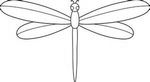 dragonfly (1).jpg