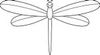 dragonfly (1).jpg