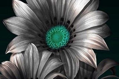 961764_hd-wallpapers-zedge-wallpapers-zone_640x1136_h.jpg
