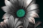 961764_hd-wallpapers-zedge-wallpapers-zone_640x1136_h.jpg
