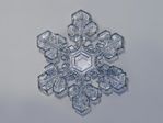 snowflake 3.jpg