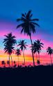 sunset.jpg