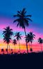 sunset.jpg