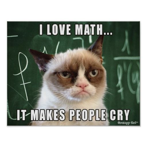 grumpy cat math.jpg