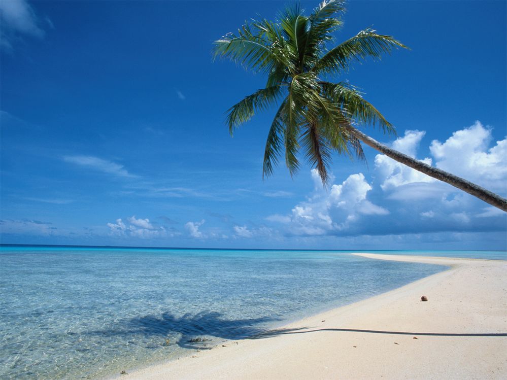 beach.jpg
