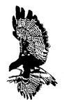 Falcon logo.png
