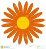 Daisy.jfif