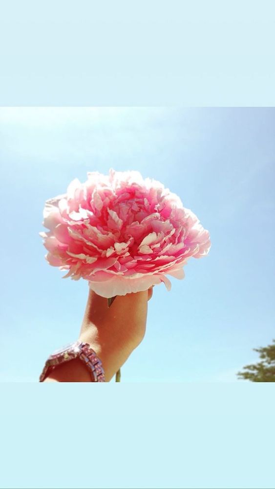 835AB7EB-B175-41C9-9834-7926B13E08DA.jpeg